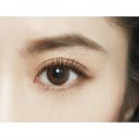 Contact Lens Japan Daily P-5.00 | Merry Seasons FOMOMY #Cameo Pink 10pcs