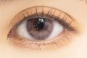 Contact Lens Japan Daily P0.00 | Merry Seasons FOMOMY Coco #Lavender 10pcs