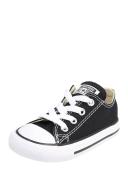 Converse Chuck Taylor All Star 7J235C Shoes