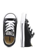 Converse Chuck Taylor All Star 7J235C Shoes