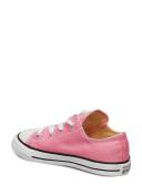 Converse Pink Chuck Taylor All Star Ox Trainers