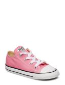 Converse Pink Chuck Taylor All Star Ox Trainers
