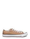 Converse Unisex Chuck Taylor All Star Seasonal Colour Low Top Sand Dune Sneakers