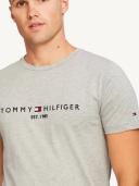 Core Logo T-Shirt Grey 3XL