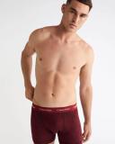 Cotton Stretch 3 Pack Trunk Multi 2XS