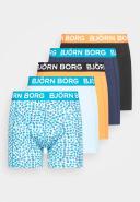 Cotton Stretch Boxer 5-Pack