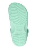 Crocs Kids' Classic Clog; Jade Stone, J2