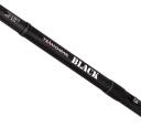 Daiwa 20 TD Black Rod Baitcast / Duckfin 702HFB