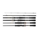 Daiwa Rebellion Rod 6101h-sb