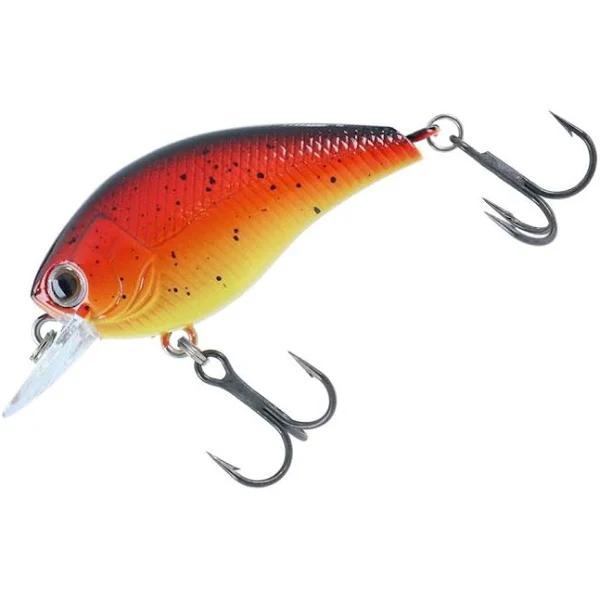 Daiwa Steez Square 100 Sunset Orange