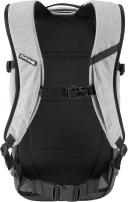 Dakine Heli Pro 20L Backpack Grey