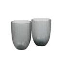 David Jones Brian Tunks Iguasu Glass Tumbler Set of 2 in Blood Orange