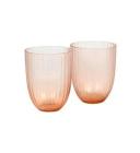 David Jones Brian Tunks Iguasu Glass Tumbler Set of 2 in Peach