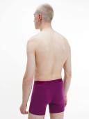 David Jones Calvin Klein Trunk in Berry Maroon, Size Small