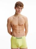 David Jones Calvin Klein Trunk in Green, Size Small