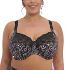 David Jones Elomi Morgan UW Bra in Serengeti, Size 16 FF