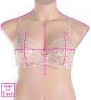 David Jones Elomi Morgan UW Bra in Serengeti, Size 16 FF