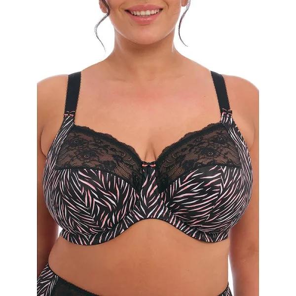 David Jones Elomi Morgan UW Bra in Serengeti, Size 18 F