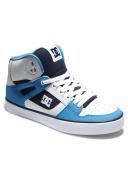 Dc Shoes Pure High-top Wc Trainers Blue EU 42 1/2 Man