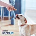 Dentalife Dental Chews for Large Adult Dogs, 12 Sticks, 426g