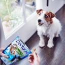 Dentalife Mini Dog Chew 58 Pack