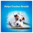 Dentalife Mini Dog Chew 58 Pack