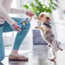 Dentalife Mini Dog Chew 58 Pack