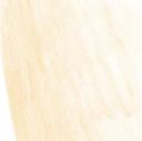 Derwent Pastel Pencil - Burnt Orange