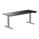 Desky Dual Bamboo Sit Stand Desk Dark Bamboo / 1800x750mm / Grey