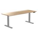 Desky Dual Hardwood Sit Stand Desk White Ash / 2000x750mm / Grey