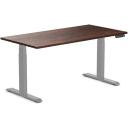 Desky Dual Kids Sit Stand Desk