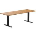 Desky Dual Kids Sit Stand Desk