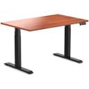 Desky Dual Kids Sit Stand Desk