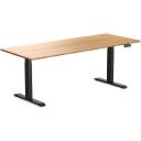 Desky Dual Kids Sit Stand Desk