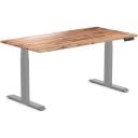 Desky Dual Kids Sit Stand Desk Grey / White / 1500 x 750mm