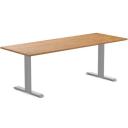 Desky Dual Kids Sit Stand Desk Grey / White / 1500 x 750mm