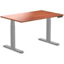 Desky Dual Kids Sit Stand Desk Grey / White / 1500 x 750mm