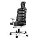 Desky Pro Ergonomic Chair With Headrest - Black