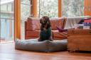 DGG Knit Chunky Fluffy Forest Green Dog Jumper - Large