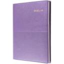 Diary - Collins - Vanessa - A6 - Day to Page - 2023 - Rose Gold