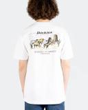 Dickies Anywhere T-Shirt Charcoal