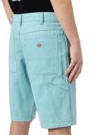 Dickies Duck Canvas Shorts 32W / Blue / Stone Washed Porcelain