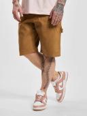 Dickies Duck Shorts Brown 28 Man