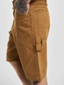 Dickies Duck Shorts Brown 28 Man