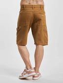 Dickies Duck Shorts Brown 38 Man
