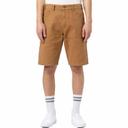 Dickies Duck Shorts Brown 38 Man