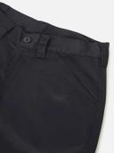 Dickies Everyday Pants