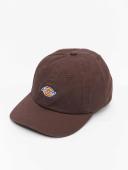 Dickies Hardwick Cap Dark Brown