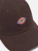 Dickies Hardwick Cap Dark Brown