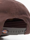 Dickies Hardwick Cap Dark Brown